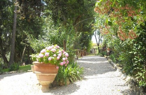 Rignano sull'Arno Villa | Villa il Frassine