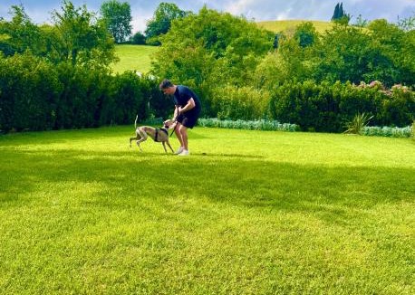 Fiorano Modenese Bed & Breakfast | Villa Nuvola Suites