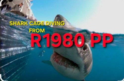 De Kelders Bed & Breakfast | Villa Ocean Crest B&B