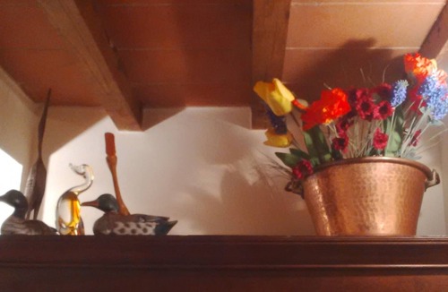Pontassieve Cottage | Villa Torre di Colonne Historic House, (XI - XV C) genuine italian hospitality