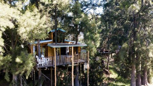 Tulbagh House | Vindoux Tree House Guest Farm & Spa