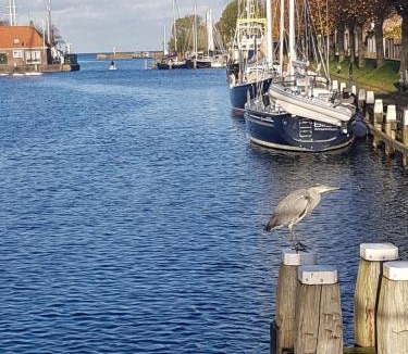 Medemblik House | Vliet Huis