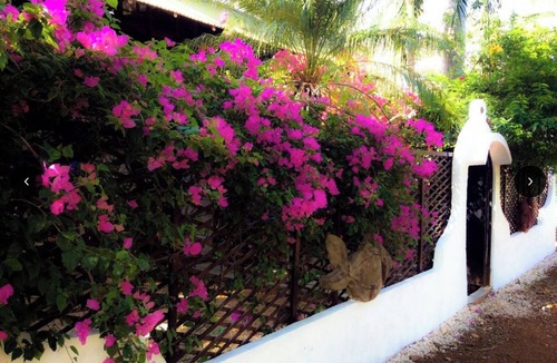 Avellanas Beach House | Walk to Beach Playa Avellanas Treehouse Private Gated Cold AC Fast WiFi