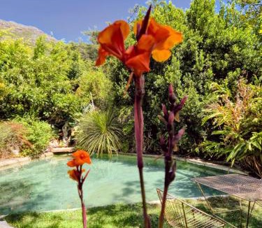 Scott Estate Ski Chalet | ZenCapeTown Forest Retreat