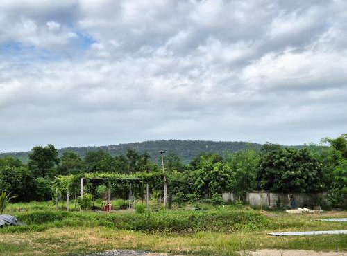 มนัสนันฐ์บ้านสวนรีสอร์ท หนองบัวลำภู
