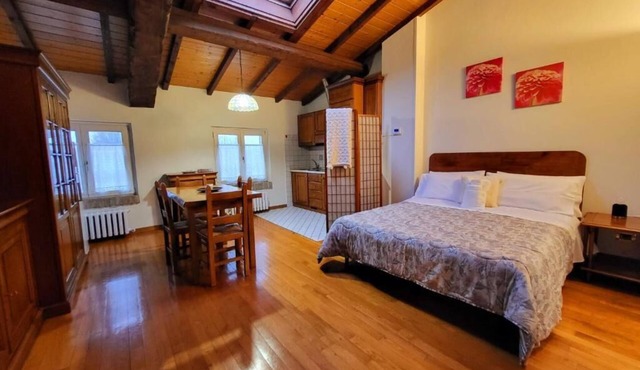 1 Bedroom Apartment in Modena