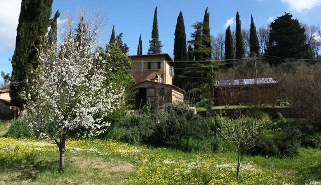 1 Bedroom Bed & breakfast in San Pietro Belvedere