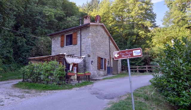 1 bedroom pet friendly home in Ortignano Raggiolo