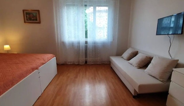 10 minutes from downtown and university hub 3-bedroom apartment