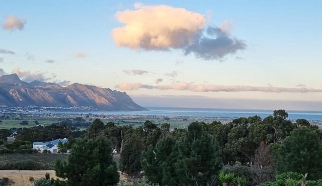 13 Olives, Entire Grape & Olive Estate, Somerset West by Euphoric Leisure