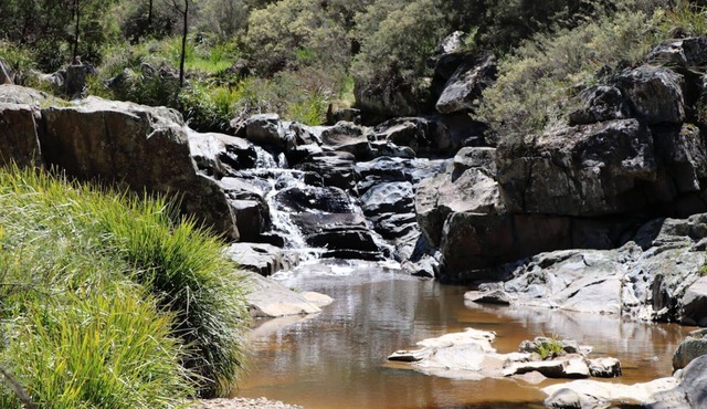 1BR bungalow farmstay. Located 40mins north of Canberra