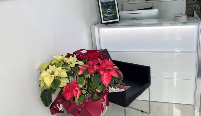 200 meters from the historic town center of which is home to starred restaurants,