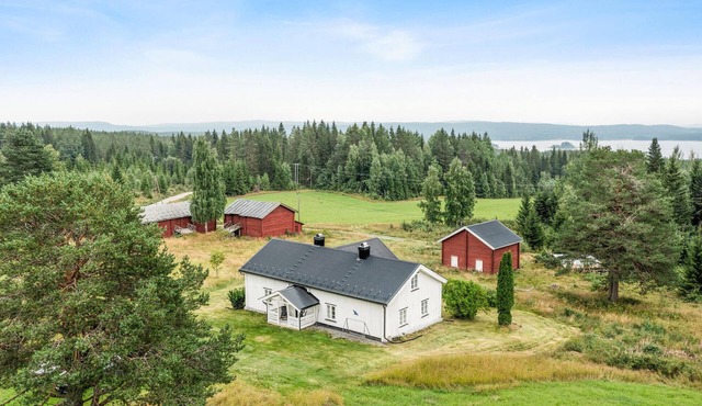 3 bedroom lovely home in Grue Finnskog