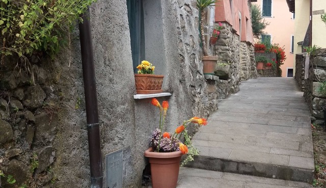 5 Cinque Terre in the countryside (code CITRA 011006-LT-0002)