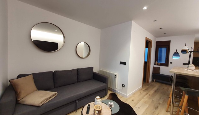 603 SKY - Apt 1 hab- 4 oers 10 m pistes Pas de la Casa-007994
