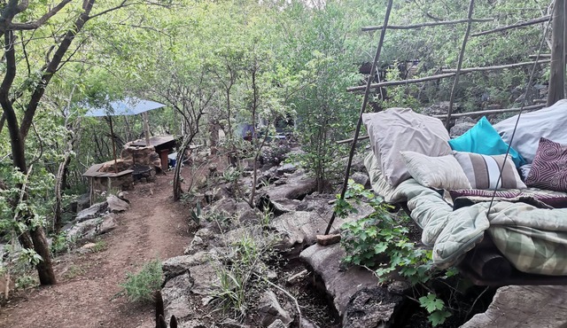 Adorable unique guest house - African bush feel.