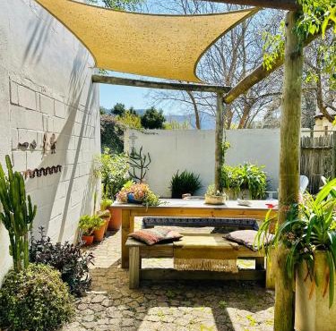 Agapanthus garden cottage