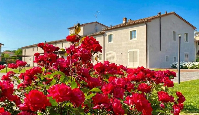 Agriturismo Saliceto