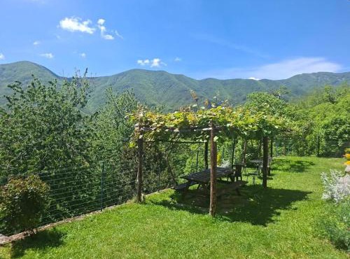 Albergo Ristorante La Selva
