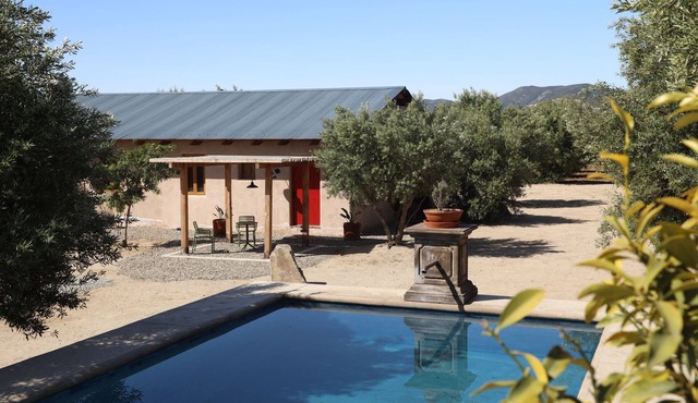 Alma Liebre Viñedos del Valle