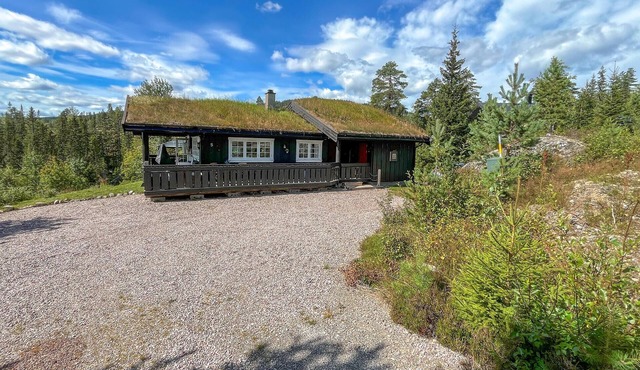 Amazing home in Rena with sauna