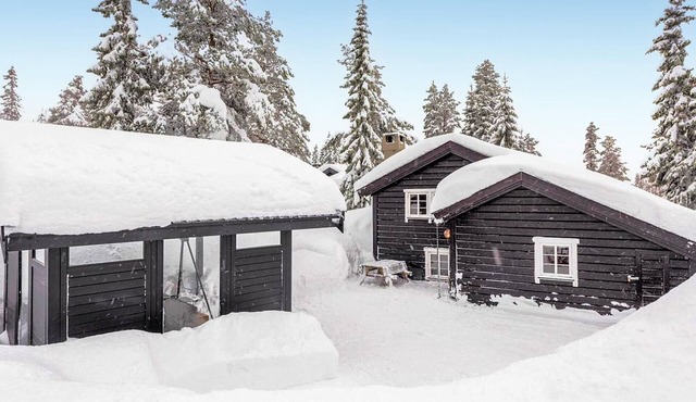 Amazing home in Trysil with house a mountain view