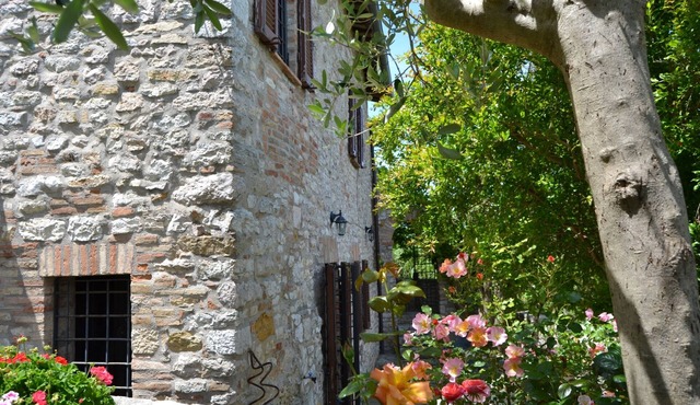 Ancient rock house with garden,situated in the centre,with view of Umbria