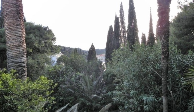 Apartment in Cavtat with Seaview, Balcony, Air condition, WIFI (3566-3)
