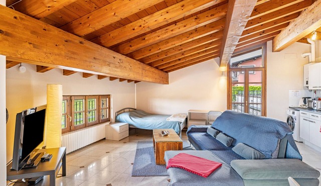 Apartment 'Loft Garda See' with Private Terrace