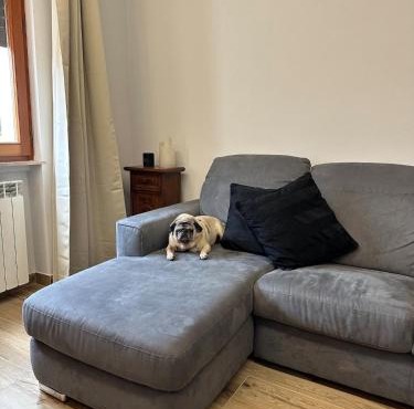 Apartment near the historic center and the hospital