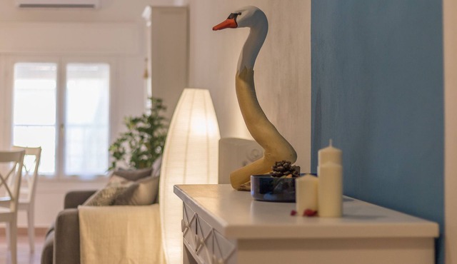 Apartment on the River Po, With two Bedrooms, in the Historic Center - Swan
