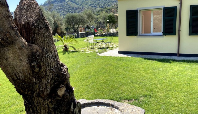 App. ground floor Pitosforo-large garden