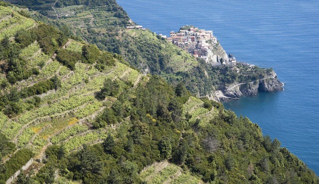 Authentic Italian vacation apartment overlooking the Gulf of Poets.