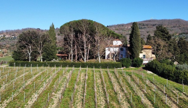 Azienda agricola Frascole