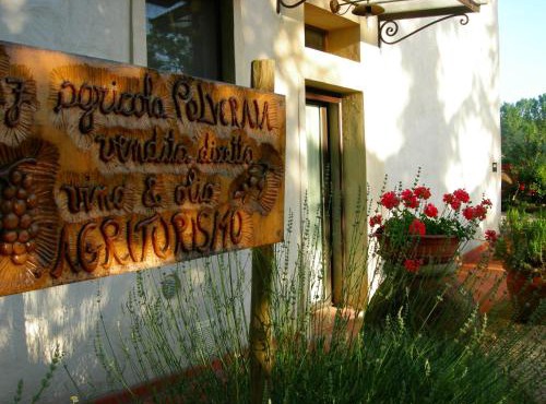 Azienda Agricola Polveraia