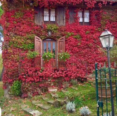 B&B Appartamenti Villa del lago