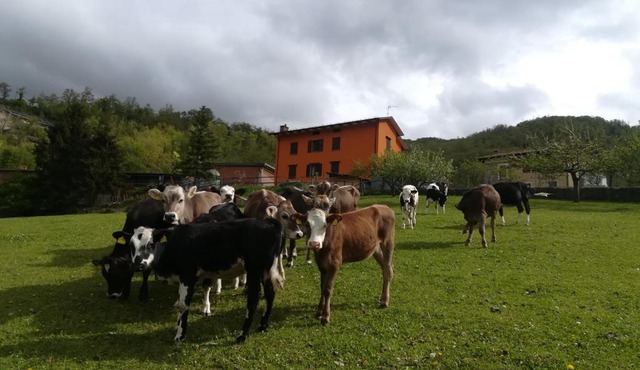 B&B Càsuperchi