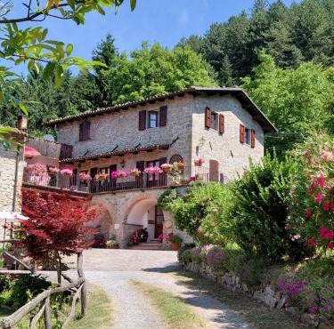 B&B DANIELA affittacamere