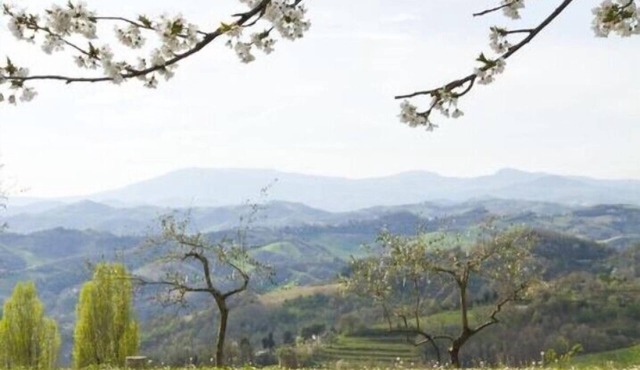 B&B Le Dolci Colline Del Montefeltro