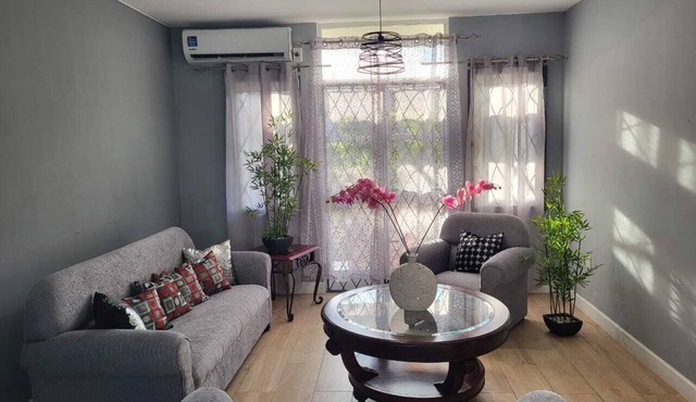 Beautiful Luxury Townhouse. Next to full service Premier Mall.
