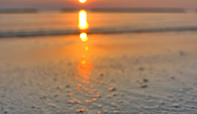 Beach house