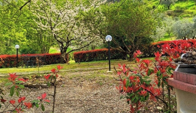 Beautiful apartment for 5 guests with WIFI, private pool and pets allowed