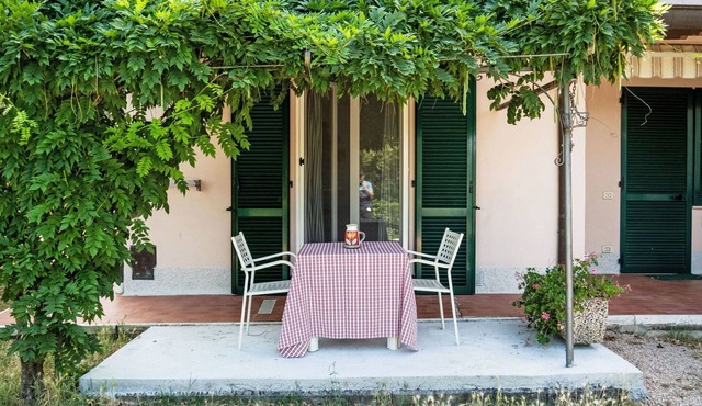 Beautiful apartment for 4 people with WIFI, A/C, pool, TV, patio and pets allowed