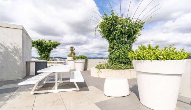 Beautiful Art Apartment near Tram and Shops!