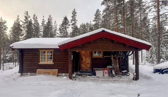Beautiful home in Ljørdalen