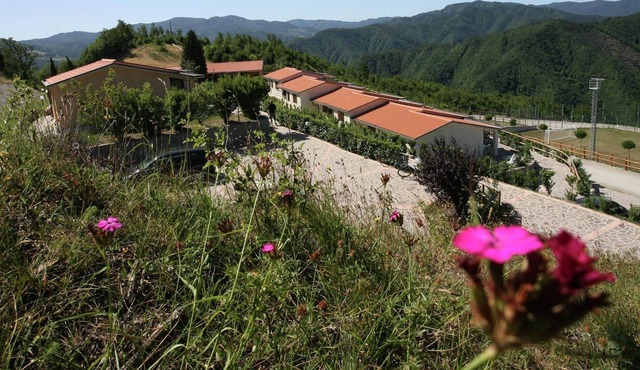 Beautiful home with terrace, located in nature