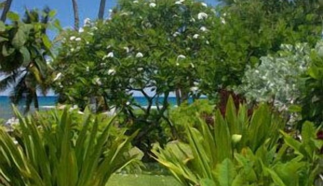 Beautiful Oceanfront Hideaway