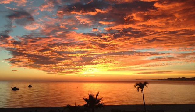 Beautiful Oceanview Beachfront Studio