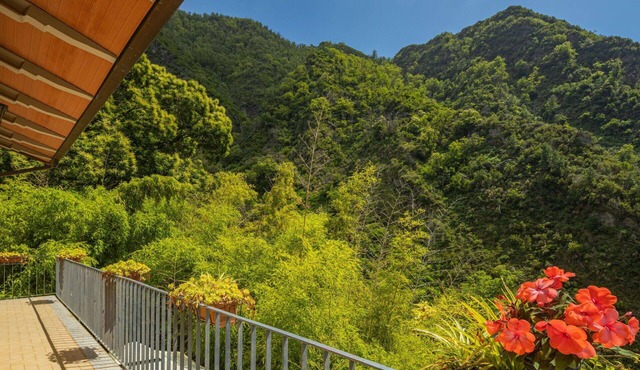 Beautiful private villa for 4 people with TV, terrace and pets allowed
