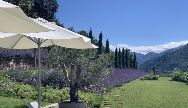 BEAUTIFUL! Restored Farmhouse with infinity pool